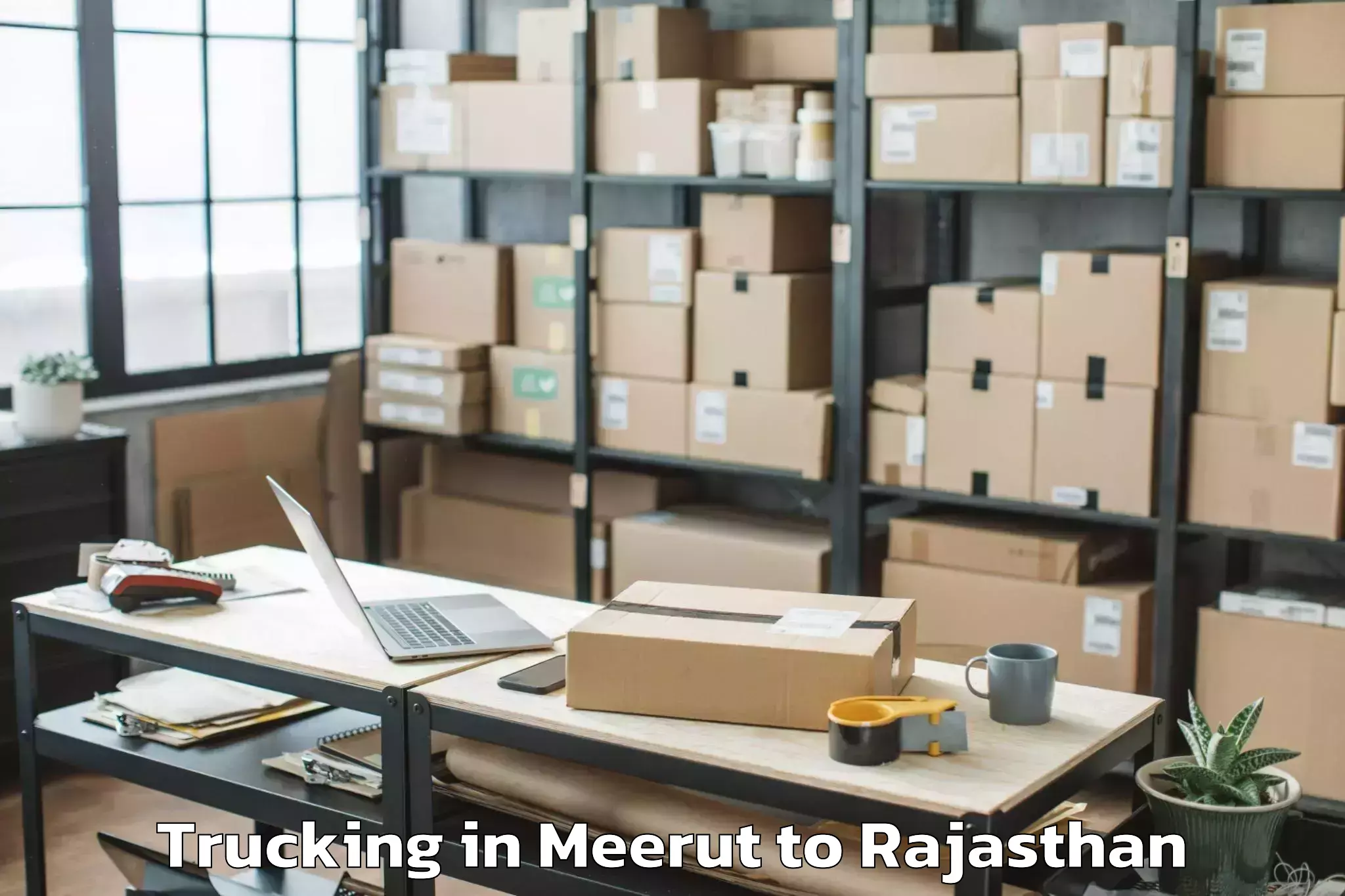 Hassle-Free Meerut to Indergarh Trucking